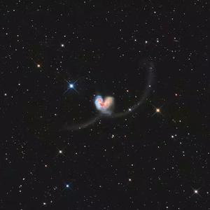 性欧美❌❌潮喷孕妇吞精
